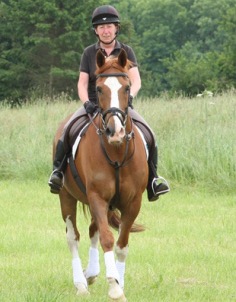 Horse Riding School