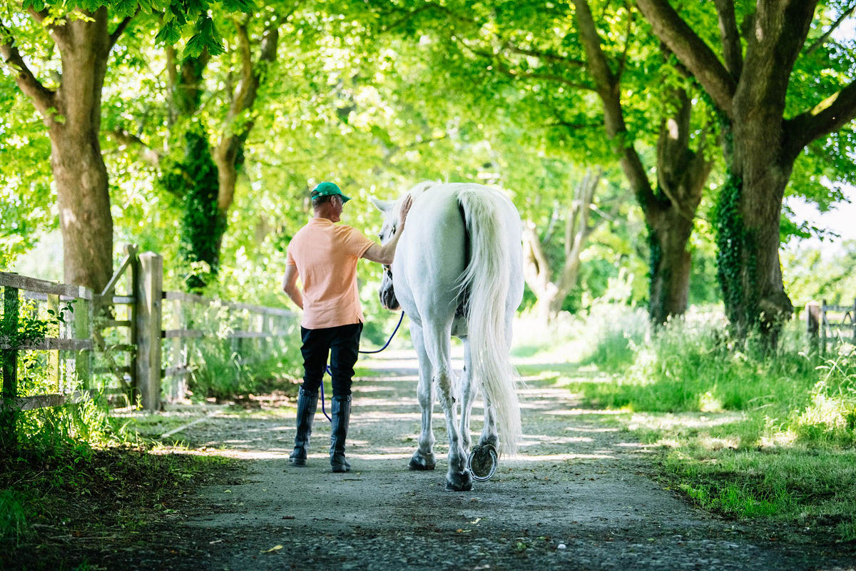 equestrian-petting-their-white-horse-in-a-country-lane