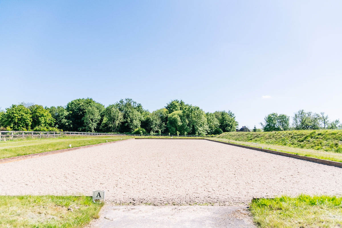horse-arena-on-a-sunny-day