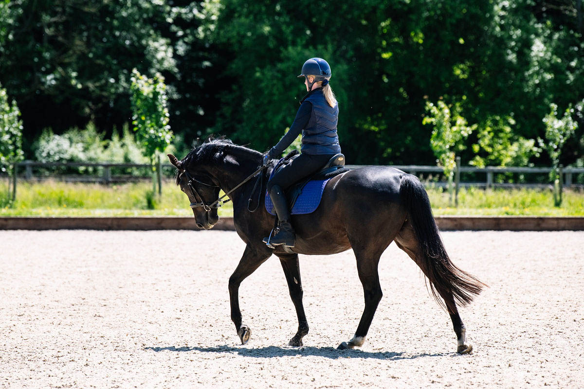 horse-rider-practicing-in-an-arena-on-a-black-horse