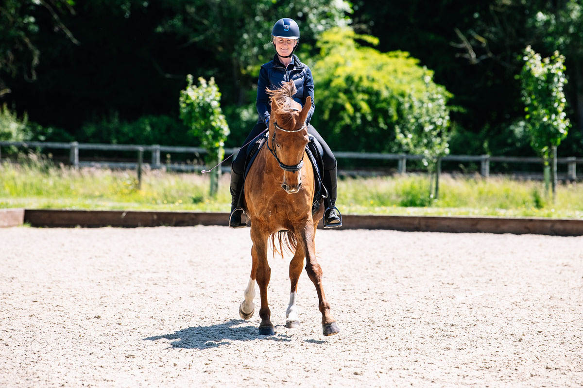 horse-rider-practicing-in-an-arena