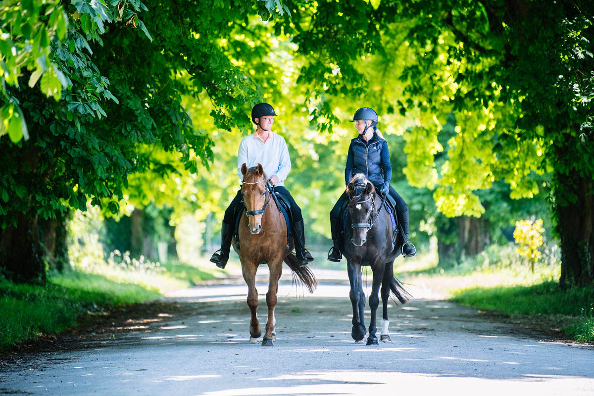 horse-riders-trotting-in-a-country-lane
