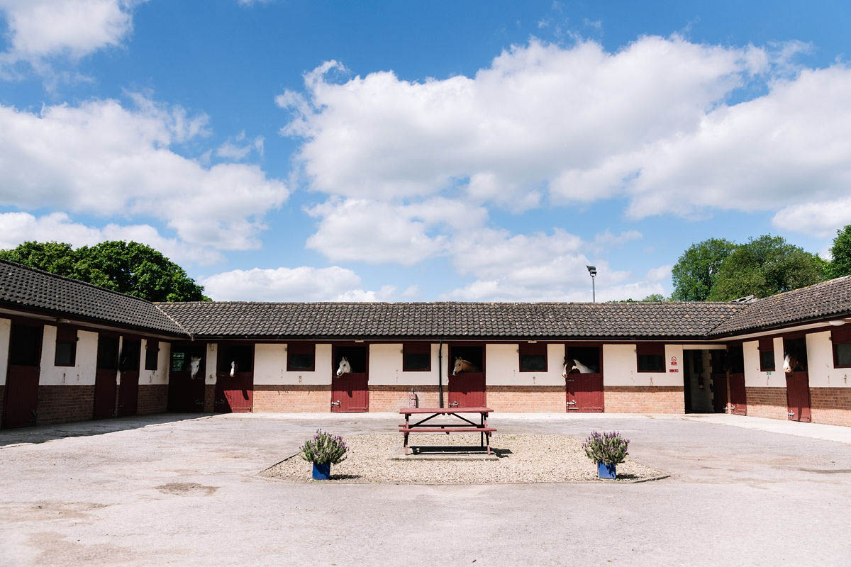 wide-angle-view-of-horses-looking-out-from-their-stables-on-a-sunny-day